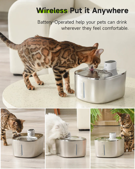 APETDOLA 4L Wireless Cat Water Fountain with Motion Sensor