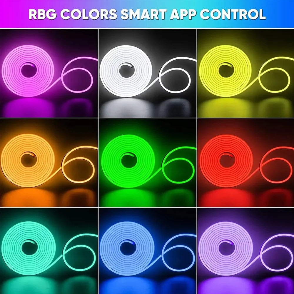 BEIMU Smart RGBIC Neon LED Strip Lights (24V/WiFi)
